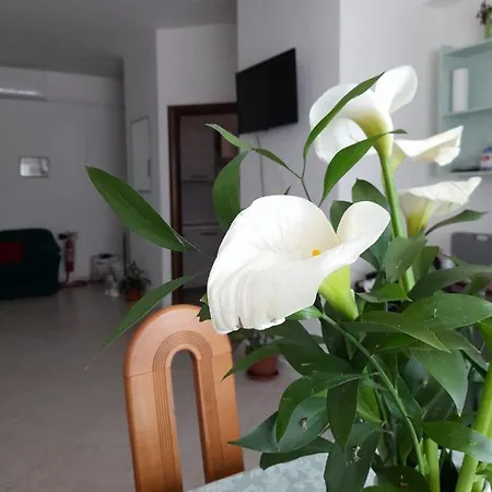Διαμέρισμα Il Girasole